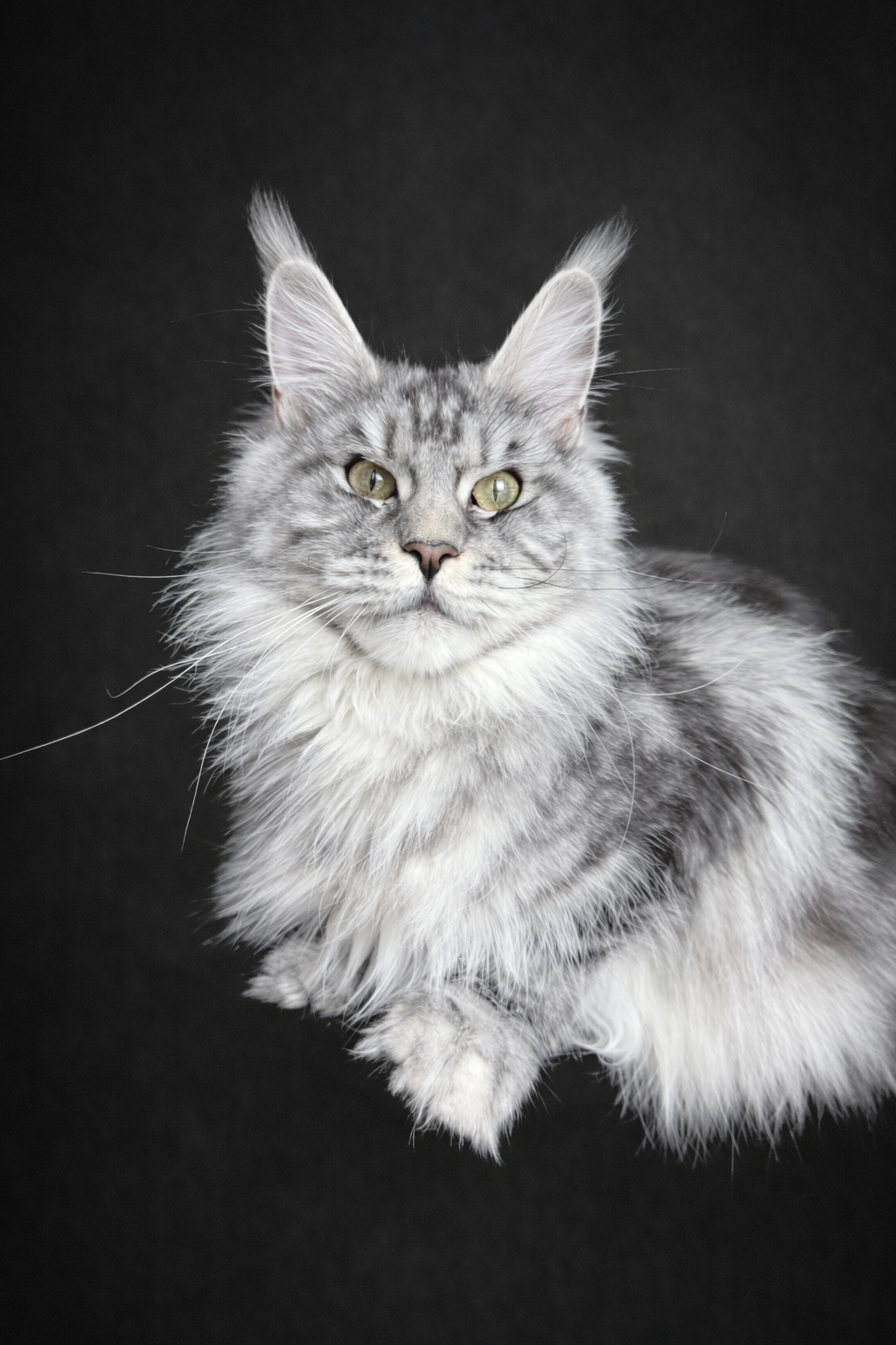 62BED786-419B-4FA1-BB68-BB3A1CD3FE65