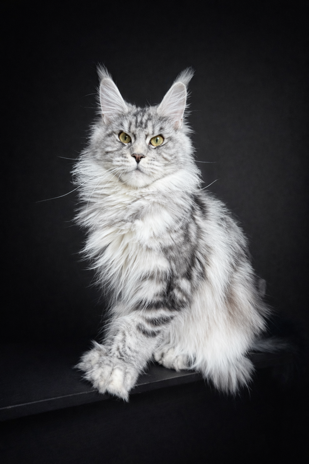 8D062E1C-4890-4755-90F2-214206EDCFE8