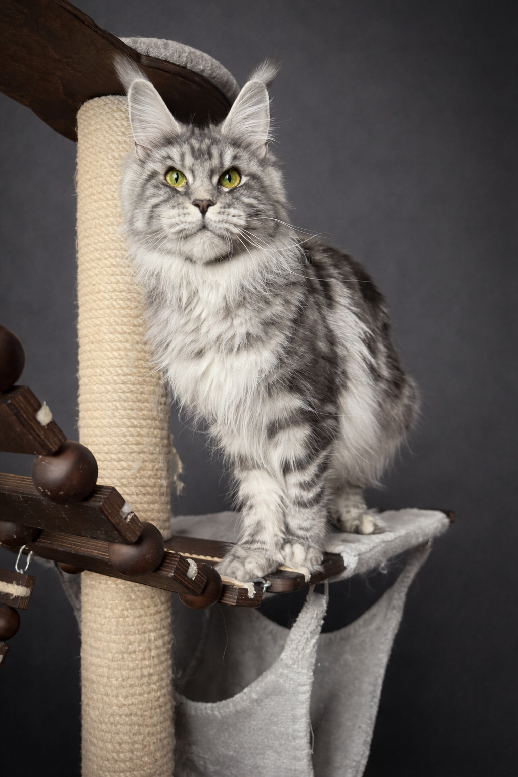 904C48B2-EB07-4C17-98DA-1B7D843D8718