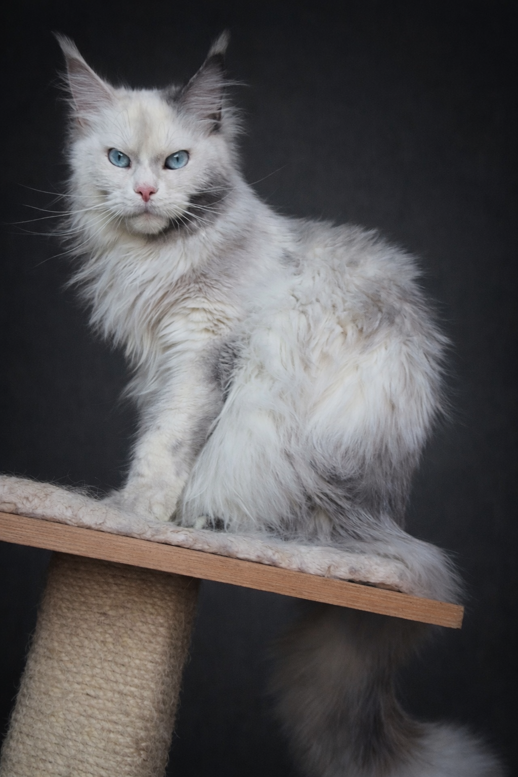 0C027D02-7CBF-4617-9ADA-4E309508095C