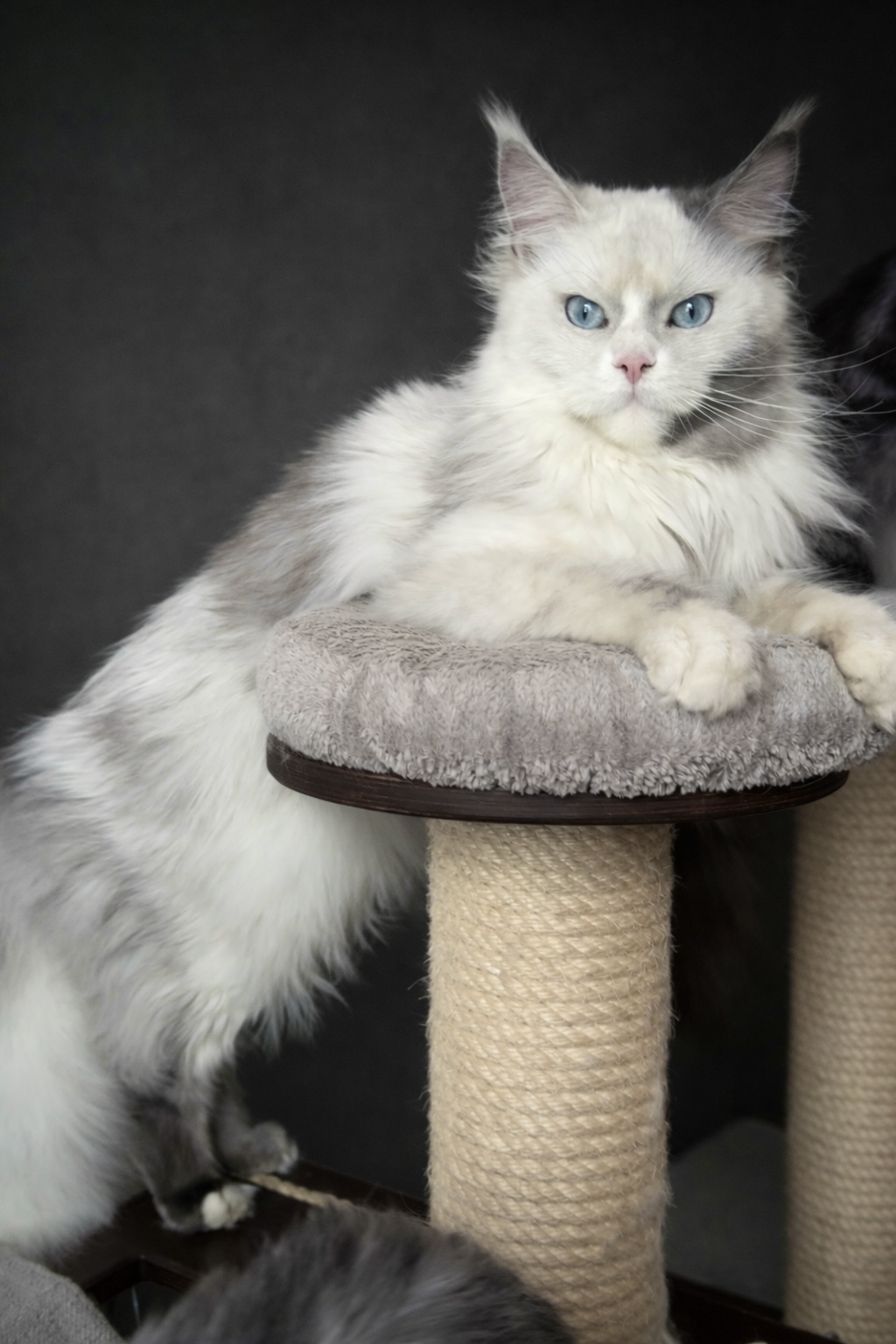 0DAFFFF5-987E-490C-B2D1-99CE932C0B12