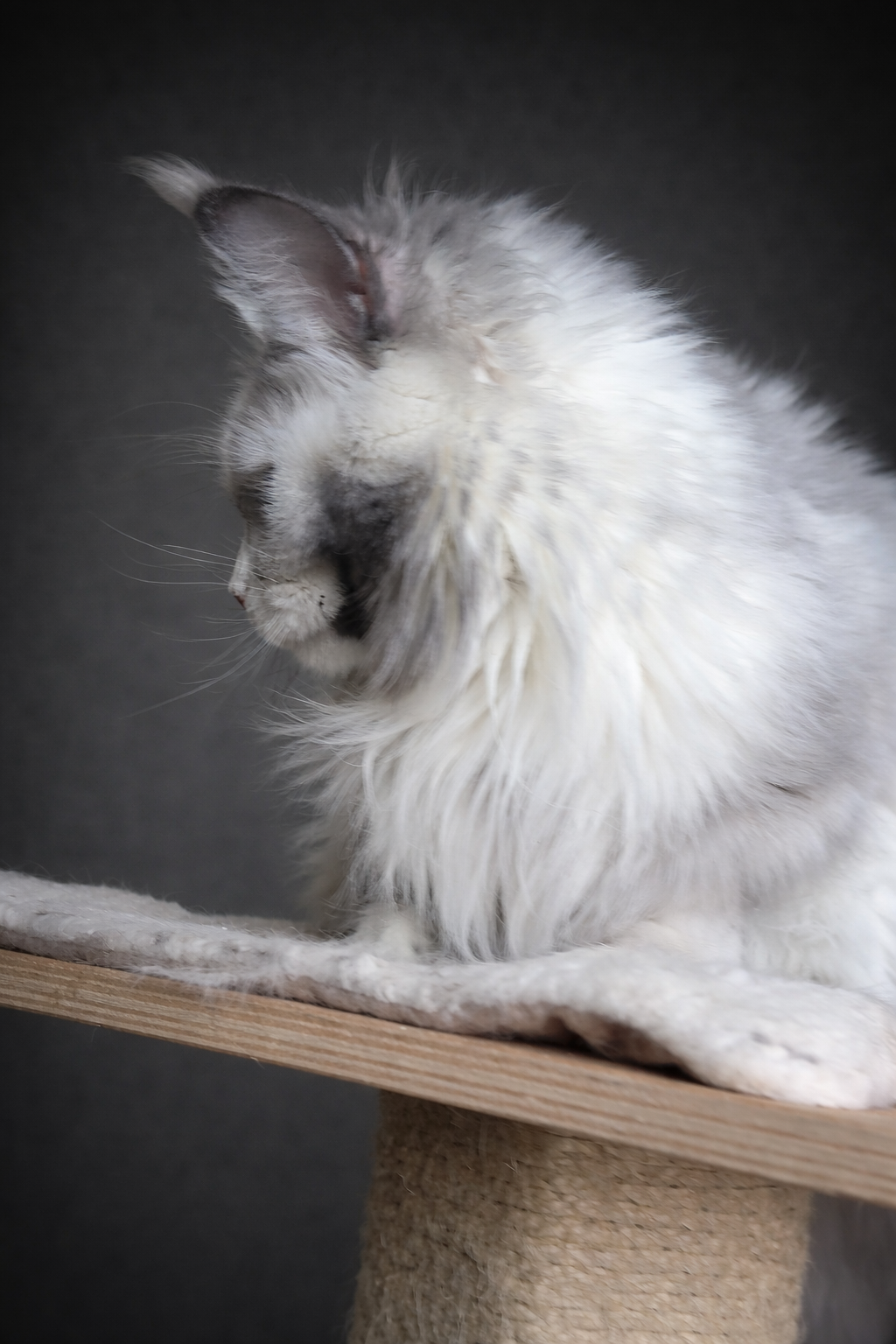 A4A92DF4-99EA-44B3-AD8D-950A66F5CB9D