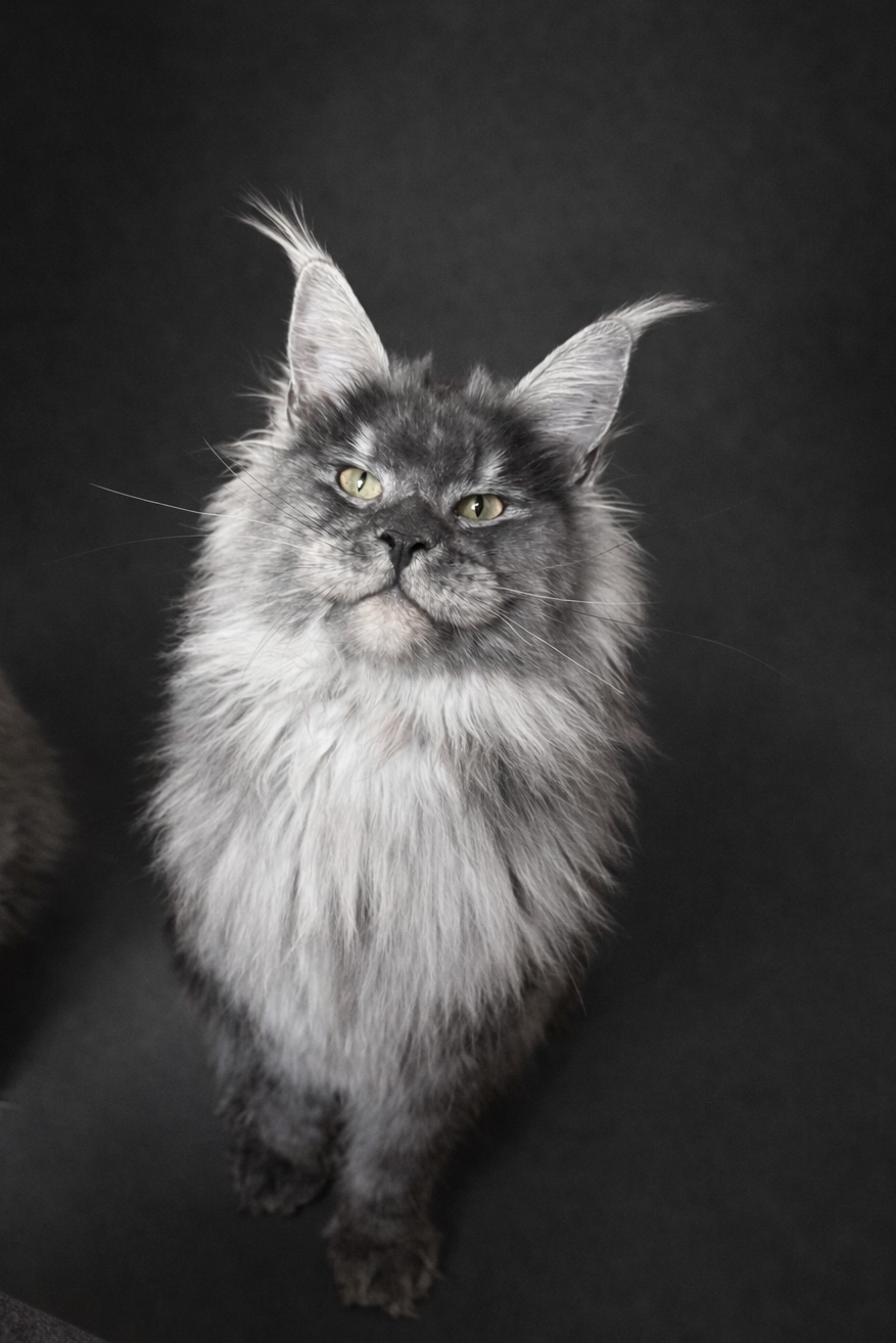 7BAB8D2D-AE3E-4F32-9658-0E070D1FA63D