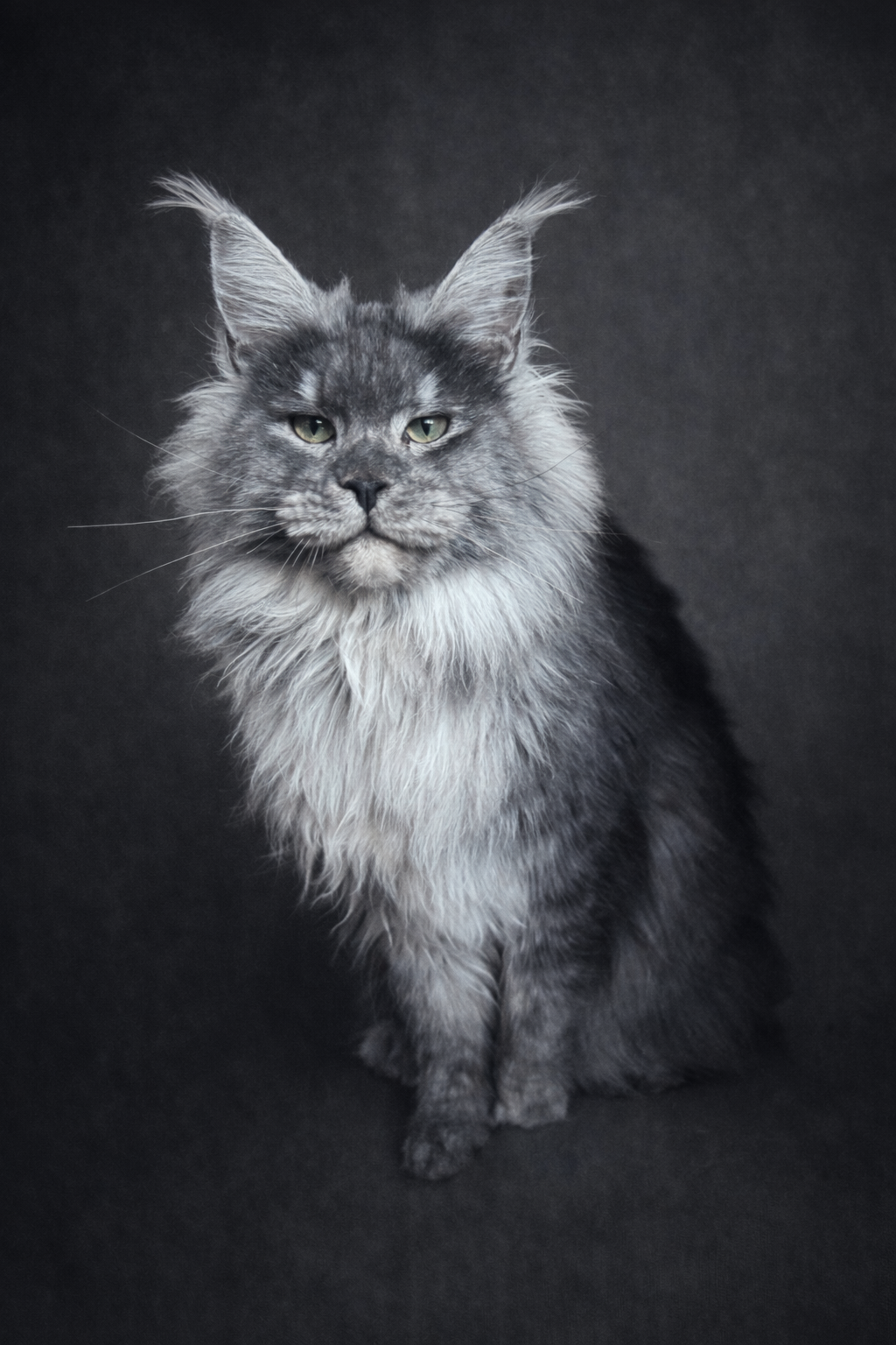 AEBB423C-38B9-4314-A81C-9A0EE845016B