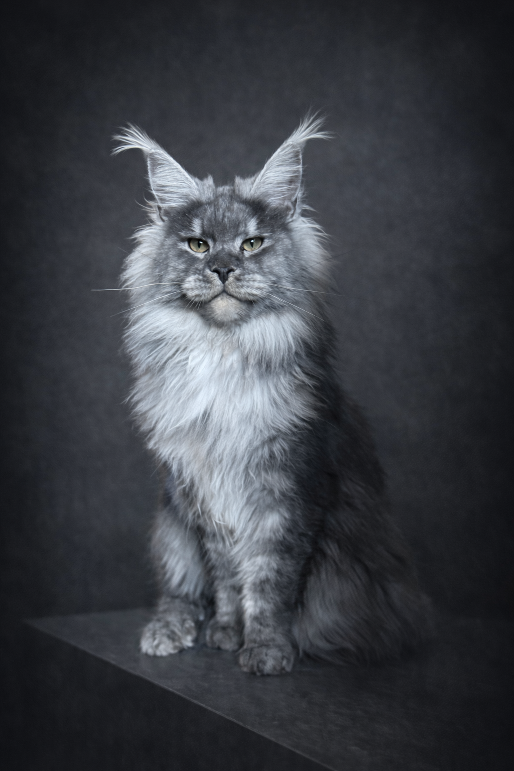 D976EEB1-7B1D-4E69-9FDC-3EF2994AFE51