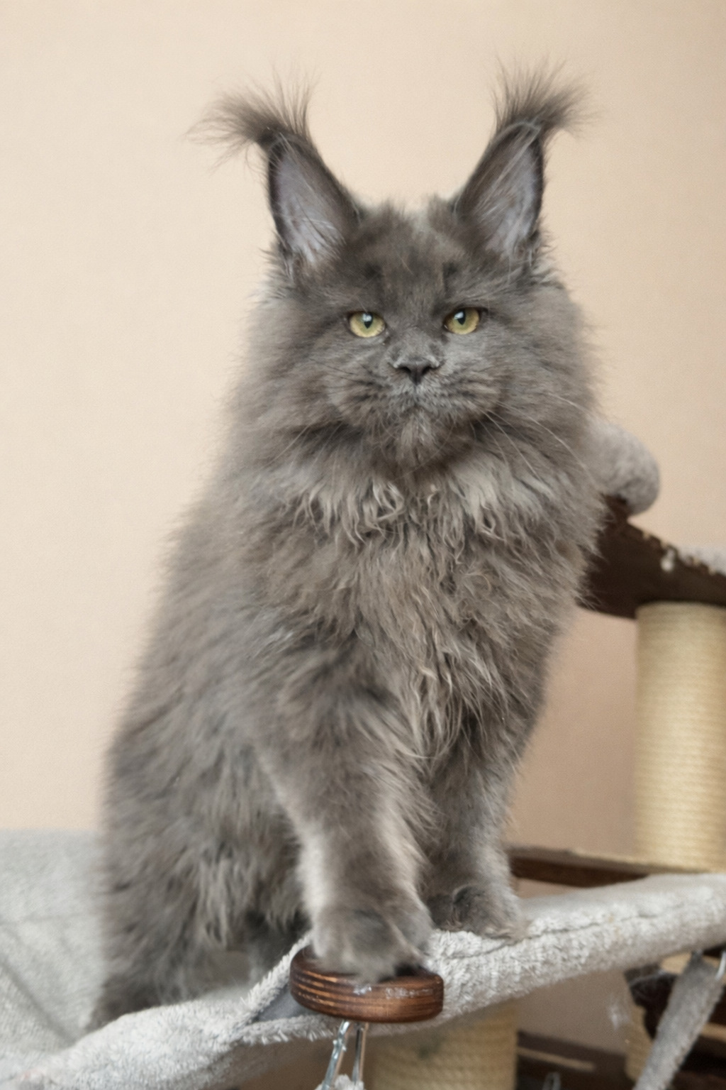 6B8AC1EF-8D07-451D-B7C2-2D6B59583F21