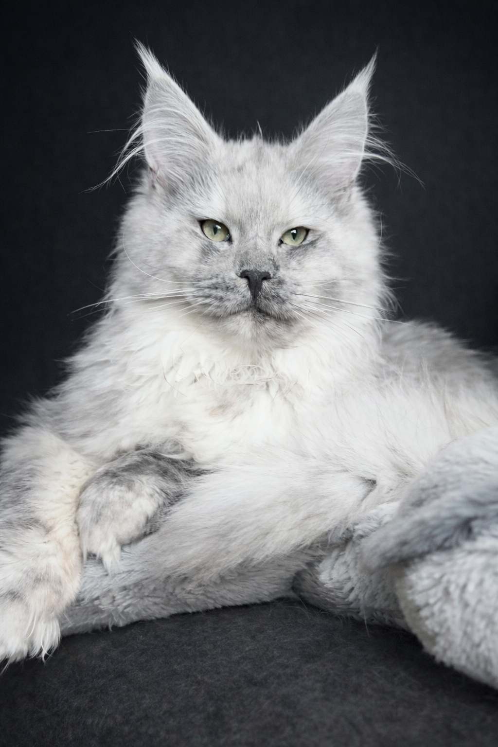 A09D22C0-DB5C-46FE-BD10-8EF23847A874