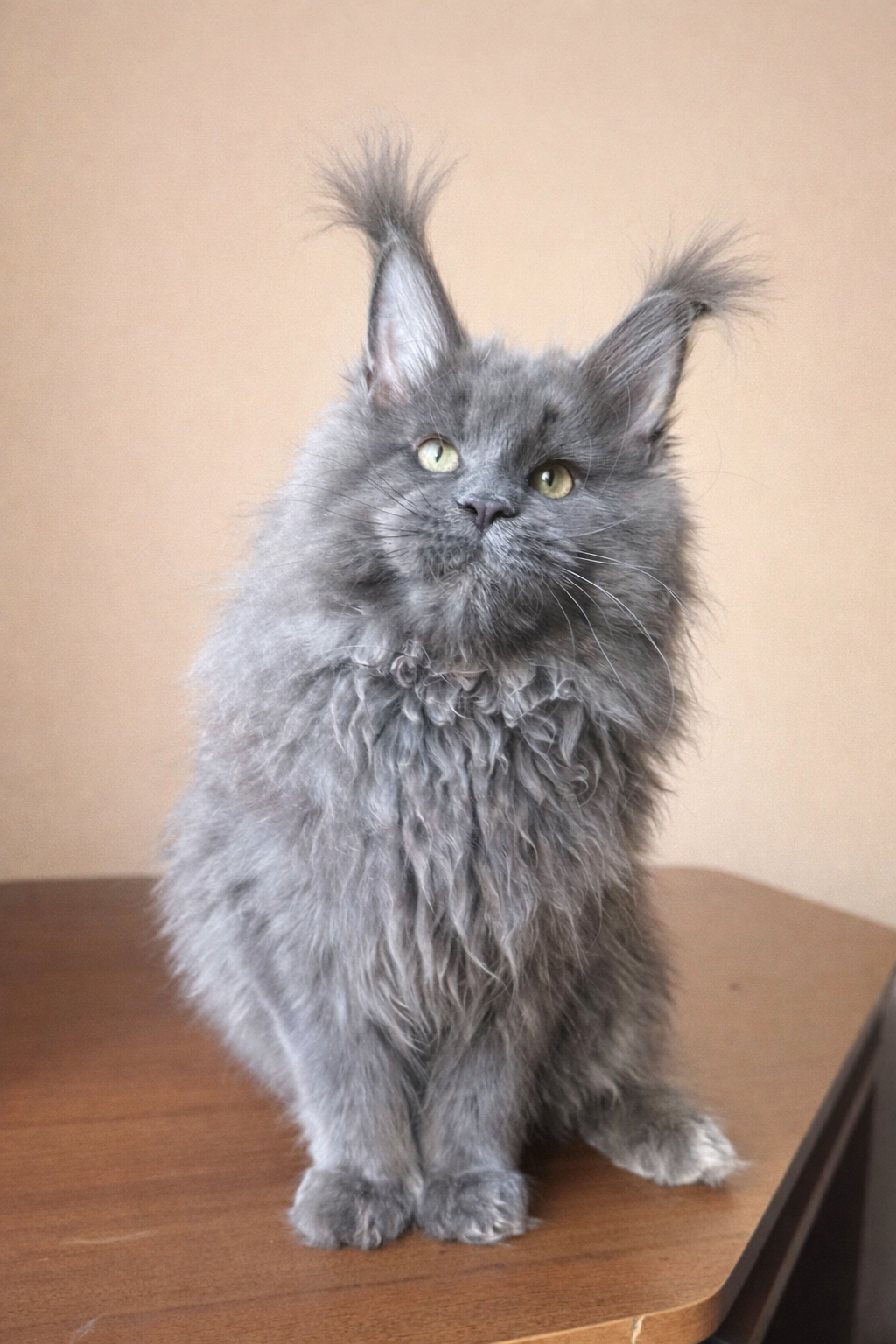 D31D9E76-6B54-4464-994D-1E932334F20E