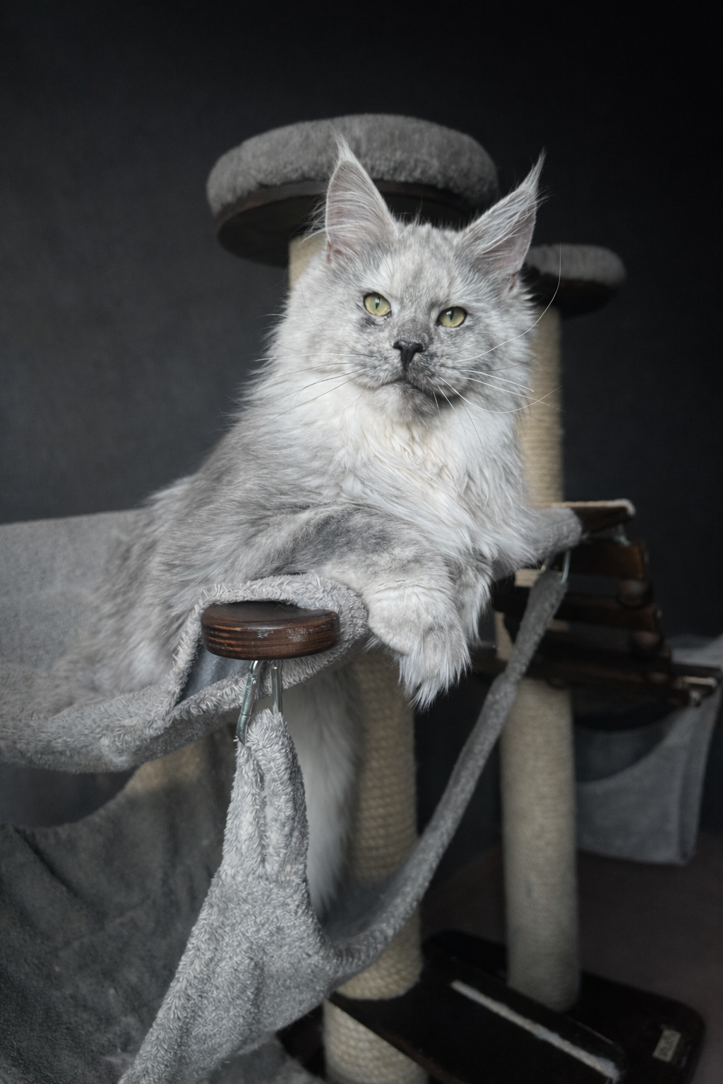 D5596924-2BE2-4F6B-9CA7-0D2E3682DE0C