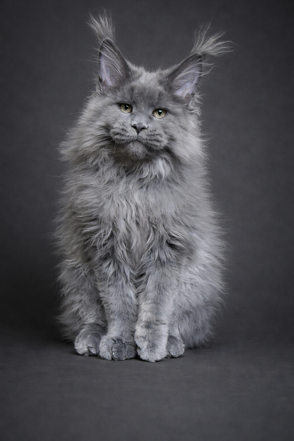 92CD8A94-7508-49D4-BD0C-01CF8093CE2B