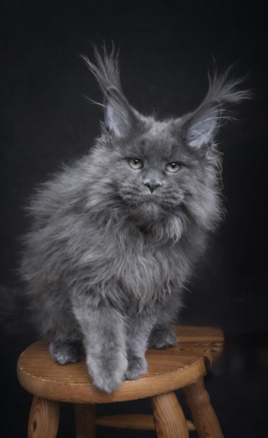 AB2B8617-1E17-4C00-839C-C03F9A0CECA9